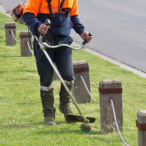 Citywide Supply Nation Renew Grid